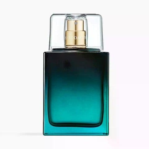 Парфюмерная вода для мужчин «The Moment» Avon